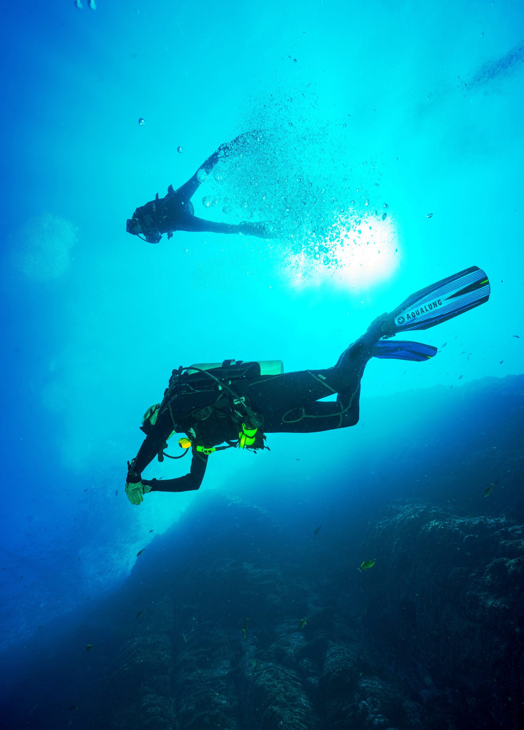 4 Amazing Dive Destinations for a Wellness Retreat 