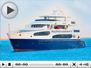 Maldives Aggressor II
