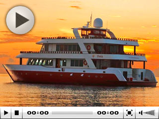 Theia Liveaboard Dive Video