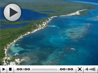 Blackbird Caye Resort Video