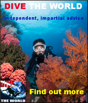 Visit Dive The World - the No. 1 online authority on dive travel