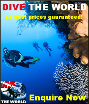 Visit Dive The World - the No. 1 online authority on dive travel