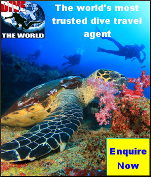 Visit Dive The World - the No. 1 online authority on dive travel