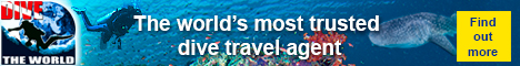 Visit Dive The World - the No. 1 online authority on dive travel