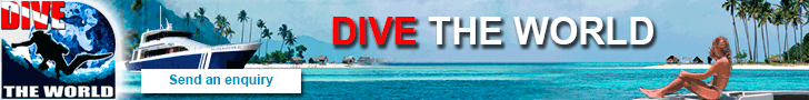 Dive The World example banner