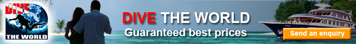 Visit Dive The World - the No. 1 online authority on dive travel