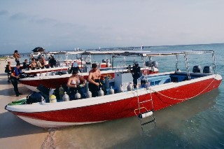 Dive Sipadan with Borneo Divers