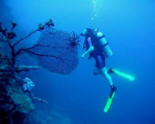 PADI Multilevel and Dive Computer Specialty Course with Dive The World - photo courtesy of Mike Greenfelder