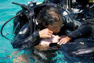 PADI Rescue Diver with Dive The World