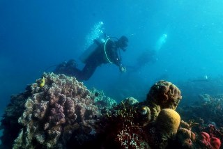 Lost the reef? PADI Underwater Navigator Specialty Course with Dive The World