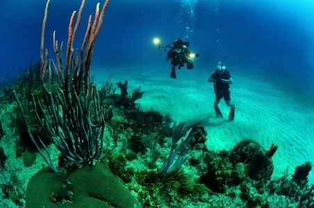 PADI Underwater Videographer