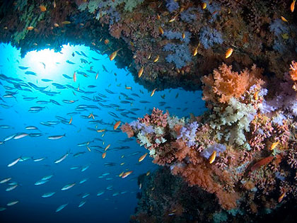 Review our site descriptions of Layang Layang