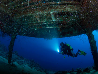 More details on the best places to wreck dive – photo courtesy of Andromeda