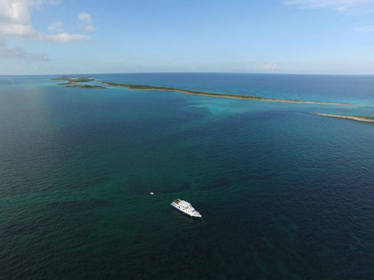 Discover our Bimini liveaboard adventure opportunities