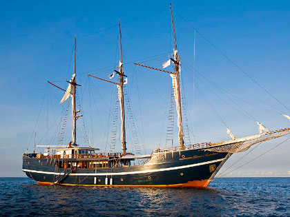 Top rated: We reflect our customer feedback to help you make your choice. Here we highlight an option that is receiving rave reviews from divers just like you