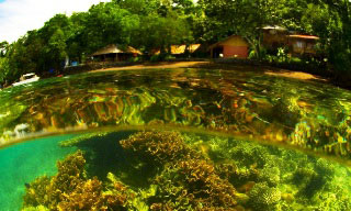 View of Nomad Adventure Divers Resort, Lembeh, from the House Reef