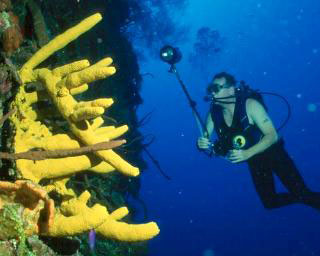 Liveaboard diving in Belize - photo courtesy of Belize Aggressor