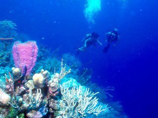 Diving in Belize - photo courtesy of Belize Tourism