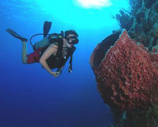 Belize scuba diving at Ambergris Caye - image courtesy of the Belize Aggressor