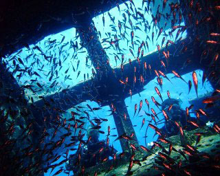 The Giannis D - Abu Nuhas wreck, Red Sea - photo courtesy of Ashraf Hassanin