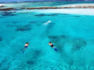 Snorkelling on Cairns' Marion Reef - photo courtesy of Dive Nomad