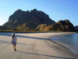 A land excursion near Komodo Island