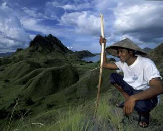 The view from Komodo