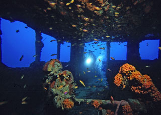 The Maldives Victory, North Male Atoll, Maldives - photo courtesy of Geoff Spiby, Ocean Divine