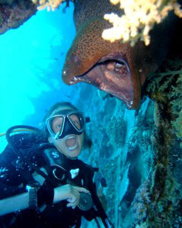 The might moray at the Gubal Barge, Hurghada - photo courtesy of Ashraf Hassanin