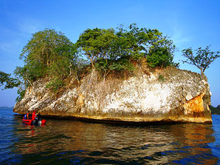 Diving at Farondi Island, Raja Ampat - photo courtesy of Dr. Peter A. Hardt
