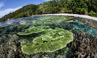 Photographic opportunities abound in Raja Ampat