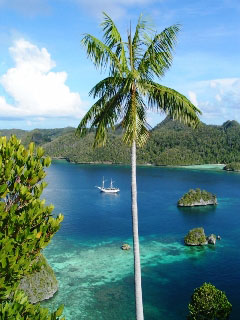 The world-famous Raja Ampat