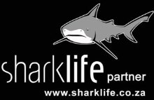 Dive The World is a Sharklife Conservation Group Partner