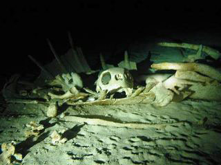 The graveyard at Turtle Cavern, Sipadan Island - photo courtesy of Franky Gun