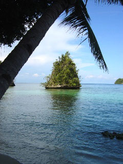 Typical beach scene from the Togian Islands, Indonesia