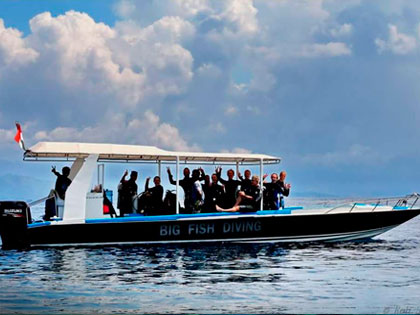 See our daytrip diving options from Lembongan Island