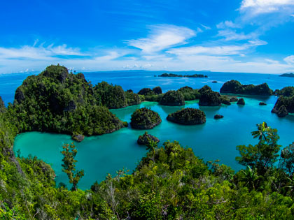 More details on these Raja Ampat dive resort options