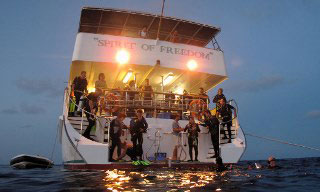 Liveaboard diving in Australia from Spirit of Freedom's dive platform