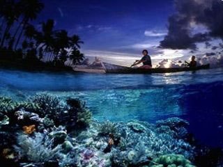 Coral reefscape in Wakatobi, southern Sulawesi, Indonesia - photo courtesy of James Watt