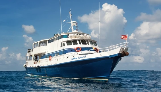 Click to enlarge image