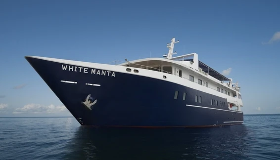 Click to enlarge image