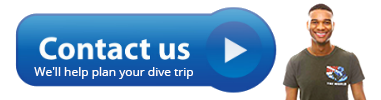 Please use our simple contact form. We are here to help you plan your dive trip