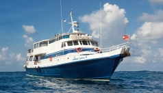 Caribbean Explorer II
