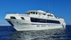 Tiburon Explorer