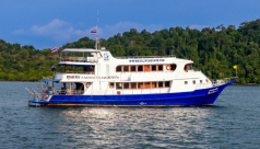 Manta Queen 8