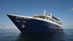 White Manta