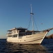 Visit the Komodo National Park by liveaboard