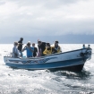 Snorkelling for whale sharks in Djibouti