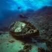 Wreck dive with the Sunshine liveaboard