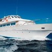 Diving tours with M/Y Dreams